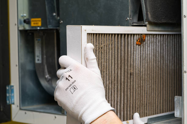 Best Ductwork Cleaning Services  in Pine Island, TX