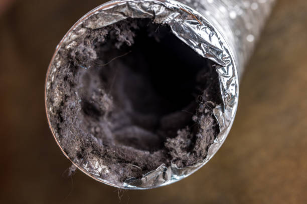 Best Best Air Duct Cleaning Company  in Pine Island, TX